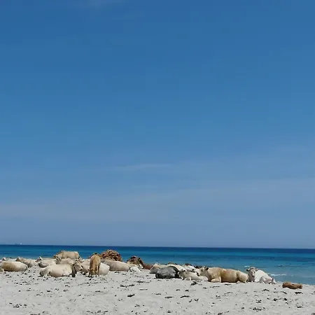 Mistral Marina Piccola 2* 卡利亚里